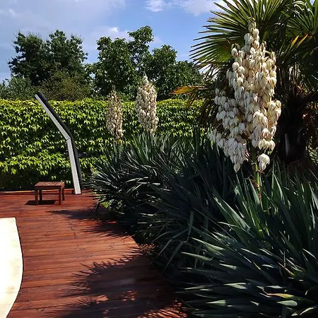Apartmanhotel Venti Club Lozenec